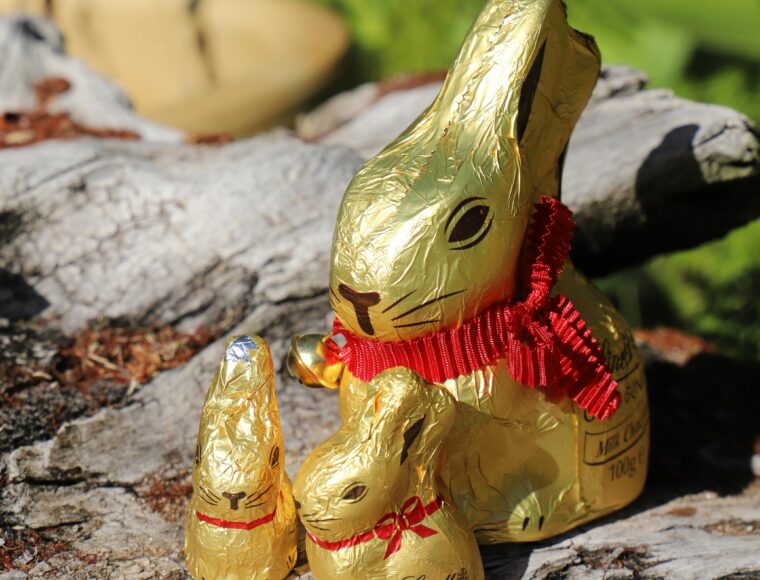 Lindt Gold Bunny Hunt